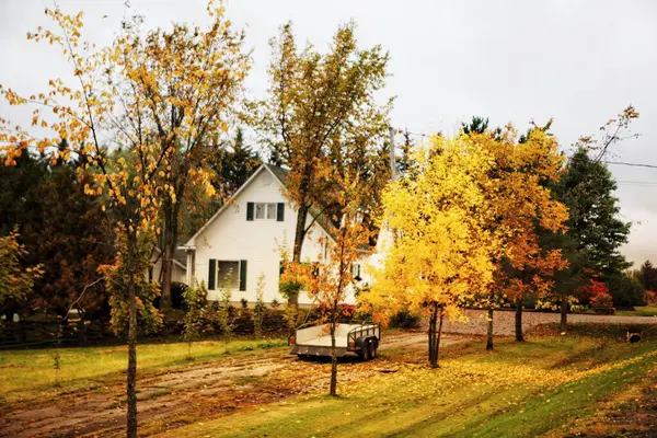 Hermoso Paisaje Otoño Con Una Casa Madera Fondo — Foto de Stock