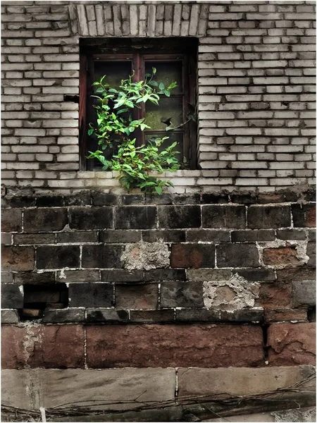 old brick wall with a window