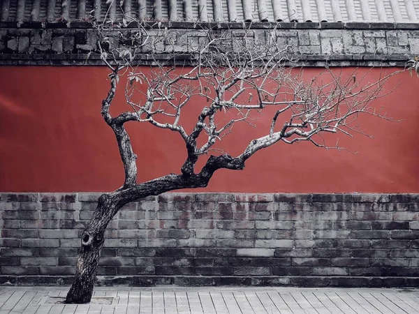 old brick wall with a red and white walls