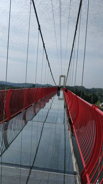 red and white bridge in the city