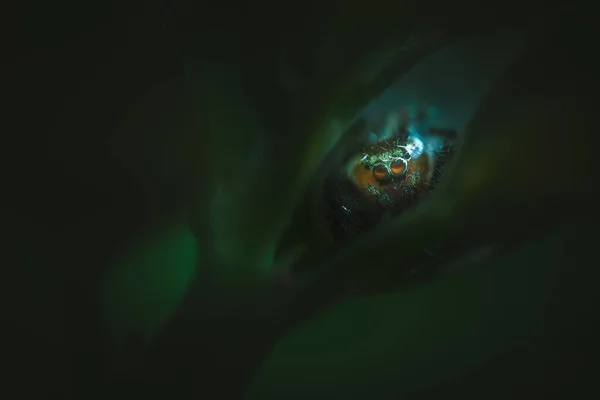 woman with a black eyes in a dark room