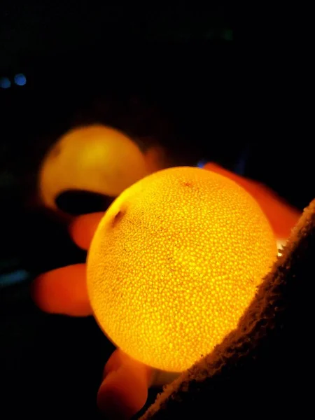 close up of a glass of orange and yellow lights