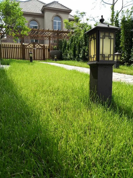 beautiful garden with green grass and trees