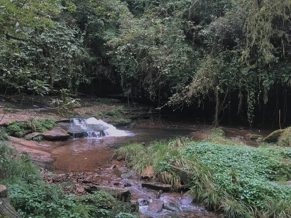 beautiful landscape with a waterfall