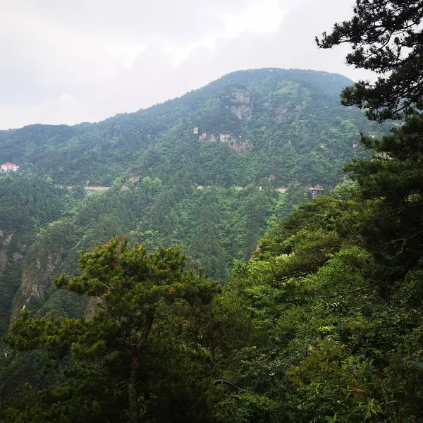 stock image beautiful landscape of the mountains