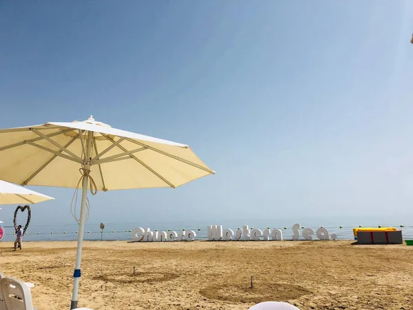 beach chairs and umbrellas on the sea coast