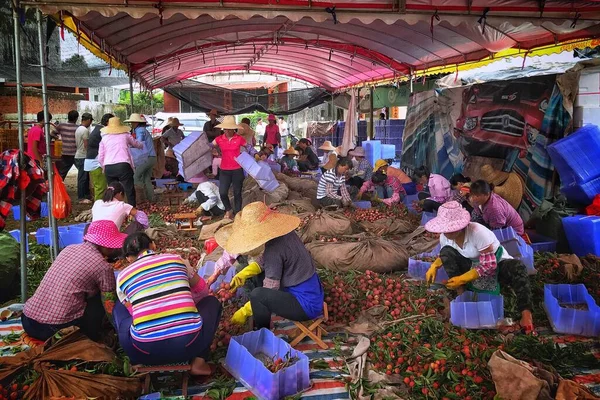 market stall in the city of hoi an vietnam