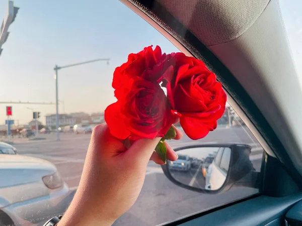 woman holding red roses in the car