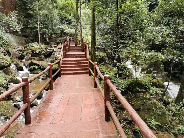 wooden bridge in the forest