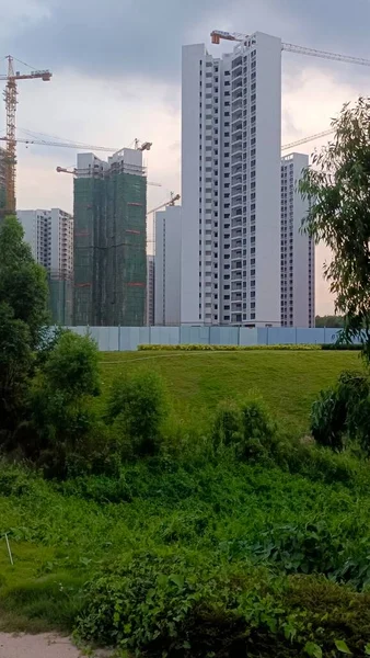 modern city buildings in the park