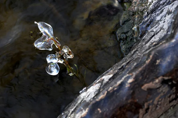 water drops on the rocks