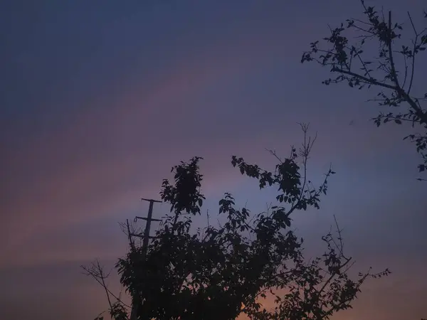 stock image beautiful sunset in the forest