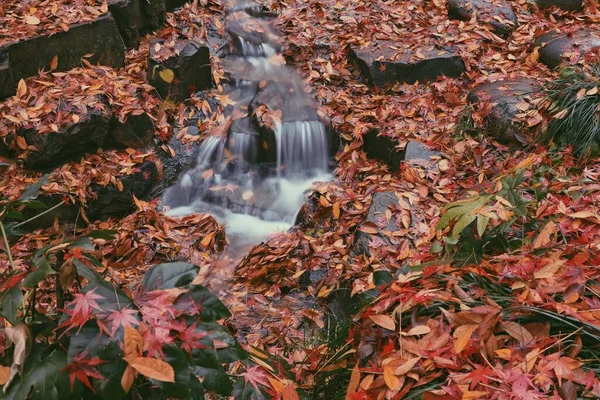beautiful autumn landscape with a waterfall