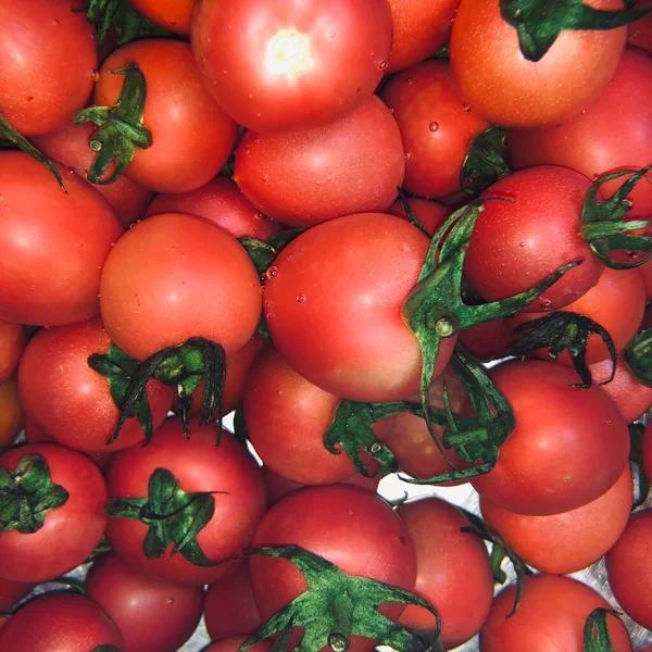 fresh tomatoes on the market