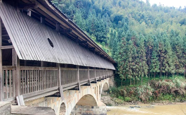 old wooden bridge in the forest