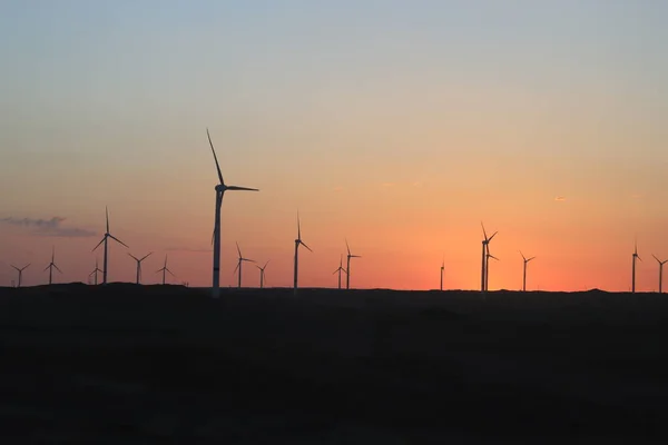 wind turbines in the sunset.