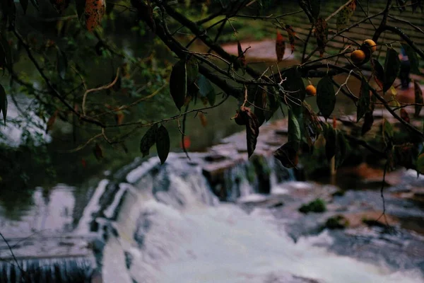 beautiful landscape with a waterfall