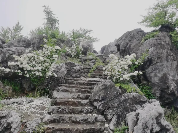 beautiful landscape with a stone and a mountain