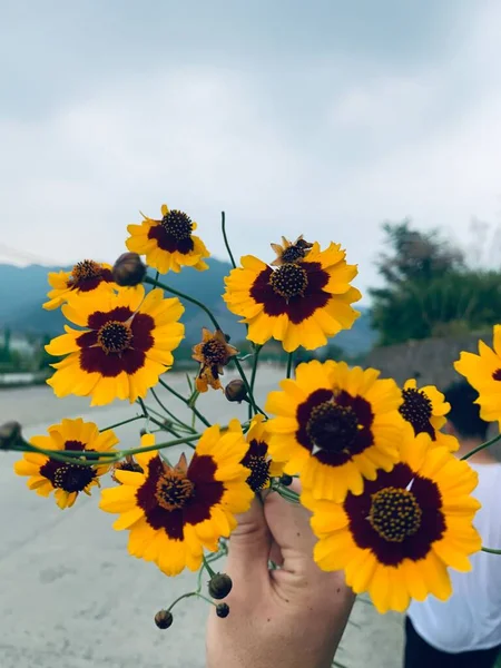 a beautiful young woman with a sunflower in the background of sunflowers