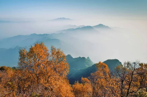 beautiful landscape of the mountains in the fog