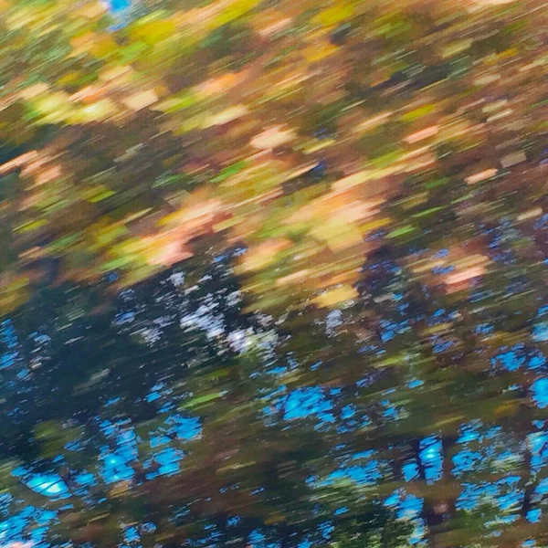 abstract background of colorful blurred trees