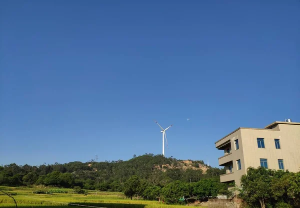 green power plant in the park