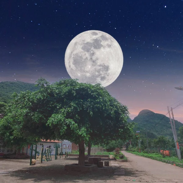 night view of the moon and trees in the mountains