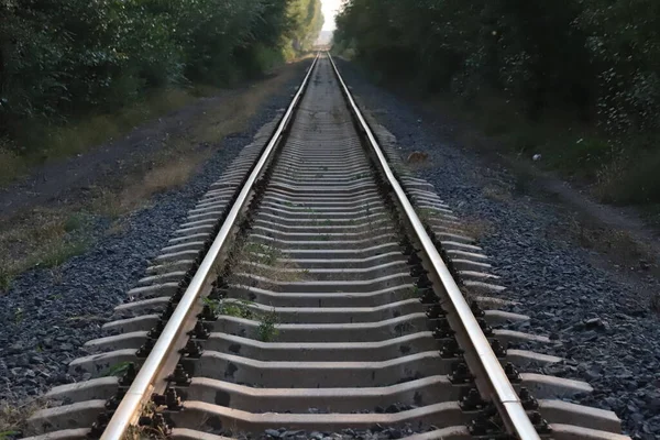 railway tracks on the road
