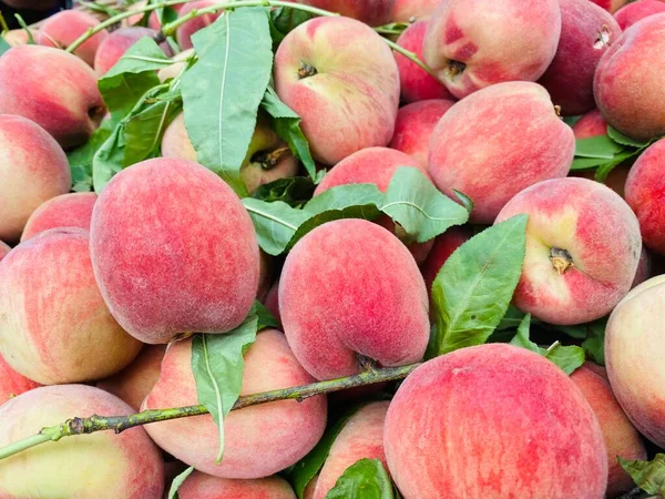 fresh peaches on a white background