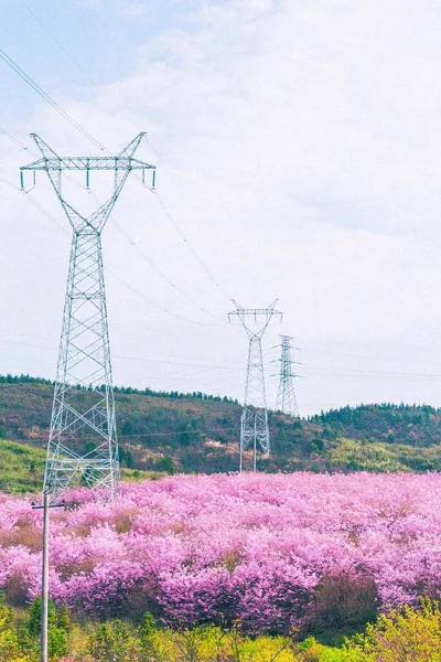 high voltage power line on a background of blue sky