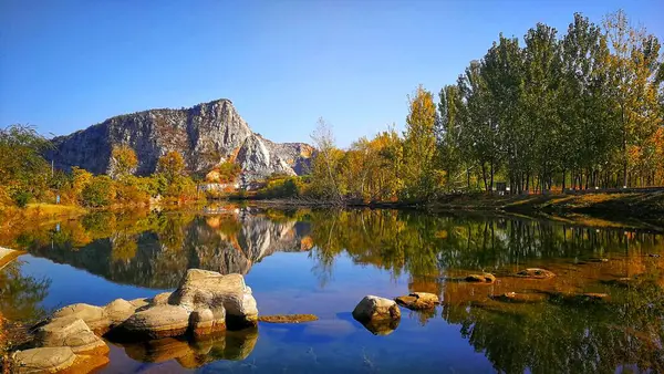 Ağaçlı Yeşil Yapraklı Güzel Sonbahar Manzarası — Stok fotoğraf