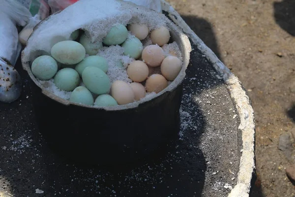 a lot of frozen eggs in the sand