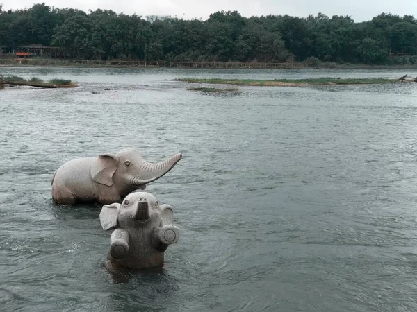 elephant in the water