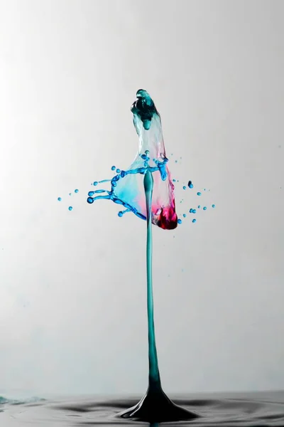 splash of water on a white background