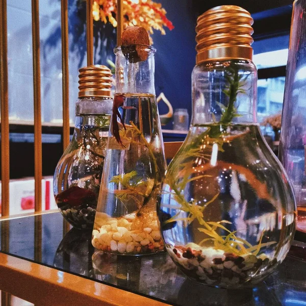 glass jars with wine and bottles of oil