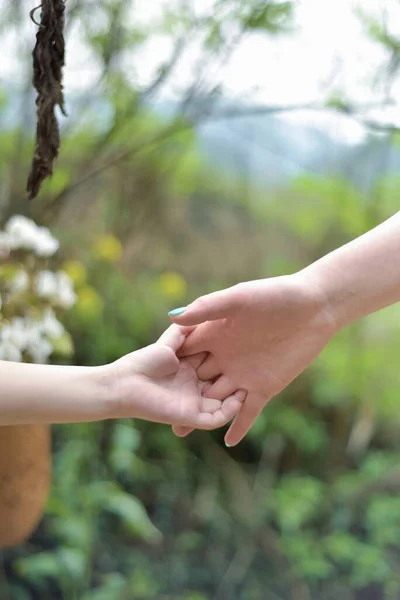 hands of a young couple holding a hand of a child