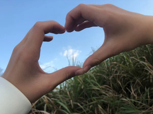 hand holding a heart in the sky