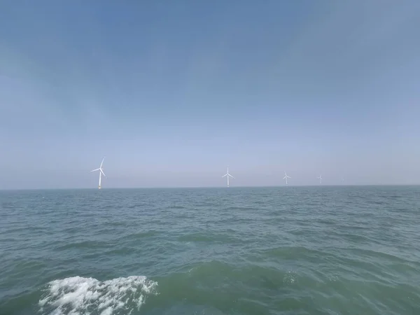 wind turbines on the sea coast