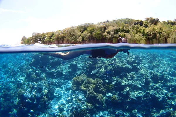 beautiful tropical sea with fish in the water