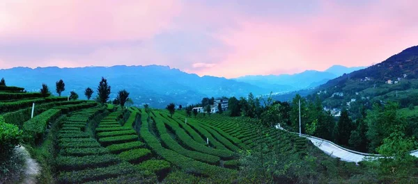 beautiful landscape of the valley in the mountains