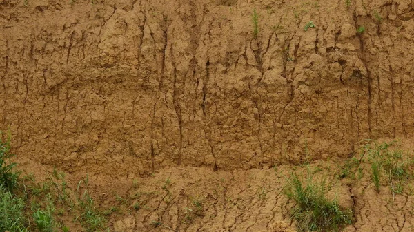 texture of soil with dirt road