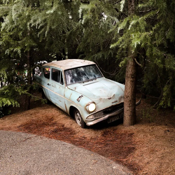 old car in the forest