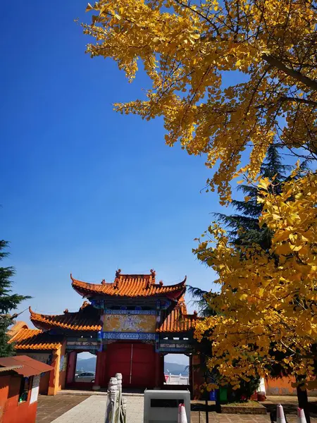 stock image beautiful architecture in the city of china