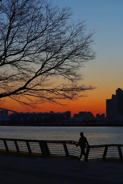 silhouette of a man and woman on the background of the city