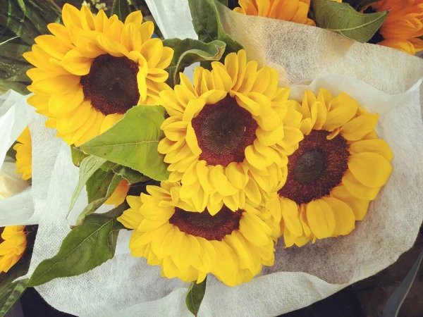 beautiful bouquet of sunflowers in a vase