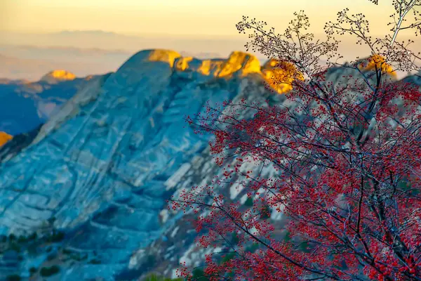 Arkasında Bir Dağ Olan Güzel Bir Manzara — Stok fotoğraf