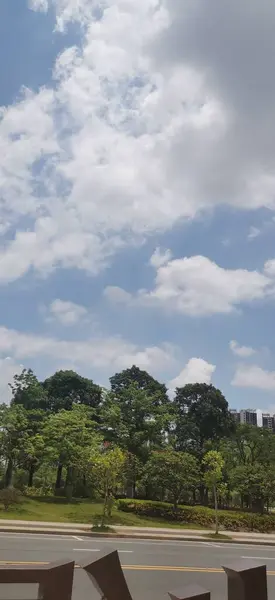 stock image view of the city of the park in the summer