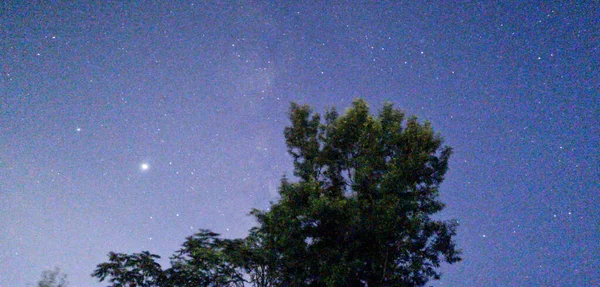 night sky with stars and snow