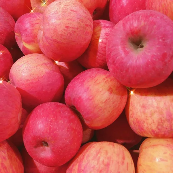 red apples on a white background