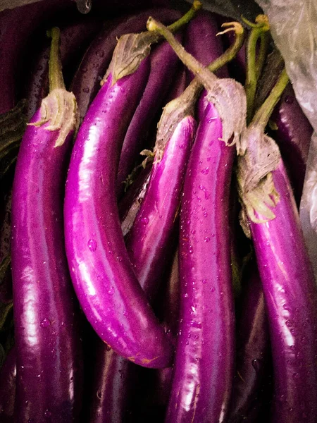 purple and pink eggplant on a black background